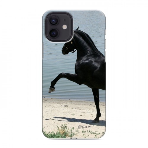 Дизайнерский силиконовый чехол для Iphone 12 Лошади
