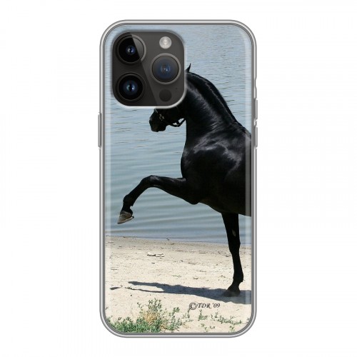 Дизайнерский пластиковый чехол для Iphone 14 Pro Max Лошади