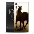 Дизайнерский пластиковый чехол для Sony Xperia XZs Лошади