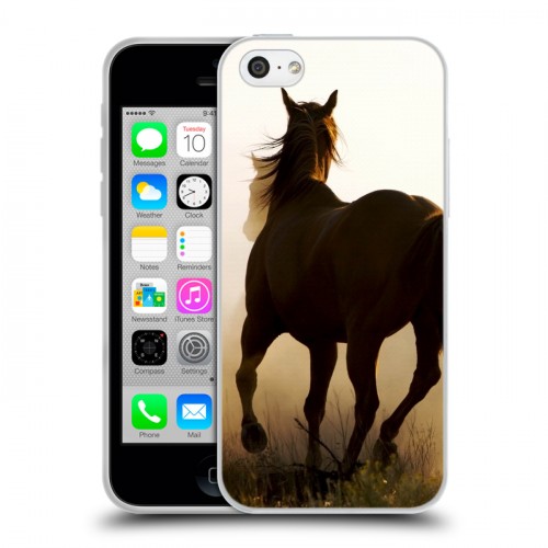Дизайнерский пластиковый чехол для Iphone 5c Лошади
