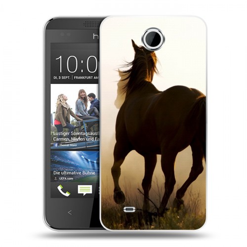 Дизайнерский пластиковый чехол для HTC Desire 300 Лошади