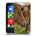 Дизайнерский пластиковый чехол для Nokia Lumia 620 Лошади