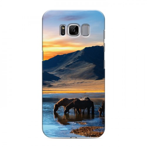 Дизайнерский силиконовый чехол для Samsung Galaxy S8 Лошади