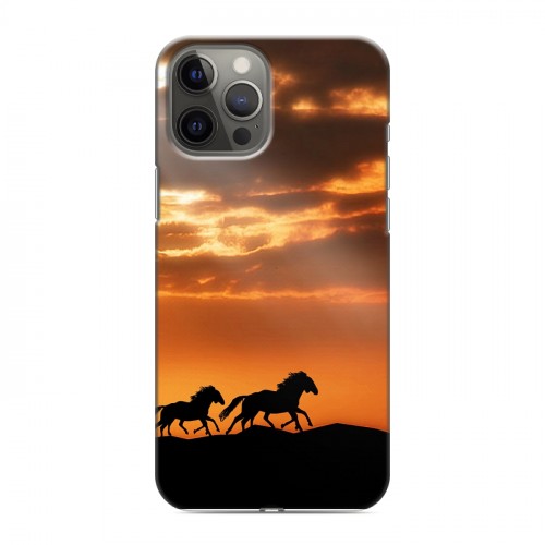 Дизайнерский силиконовый чехол для Iphone 12 Pro Max Лошади