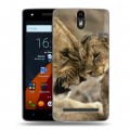 Дизайнерский силиконовый чехол для Wileyfox Storm Львы