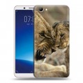 Дизайнерский силиконовый чехол для Vivo Y71 Львы