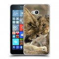 Дизайнерский пластиковый чехол для Microsoft Lumia 640 Львы