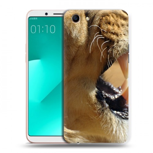 Дизайнерский пластиковый чехол для OPPO A83 Львы