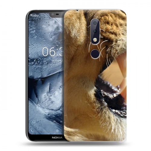 Дизайнерский пластиковый чехол для Nokia 6.1 Plus Львы