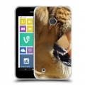 Дизайнерский пластиковый чехол для Nokia Lumia 530 Львы