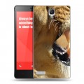 Дизайнерский пластиковый чехол для Xiaomi RedMi Note Львы