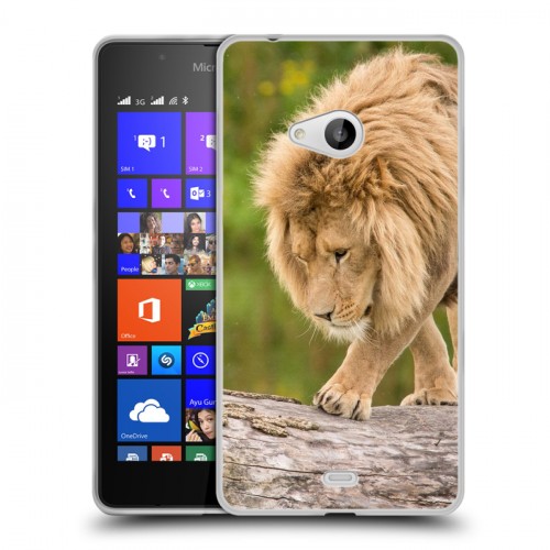 Дизайнерский пластиковый чехол для Microsoft Lumia 540 Львы