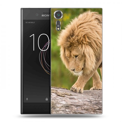 Дизайнерский пластиковый чехол для Sony Xperia XZs Львы