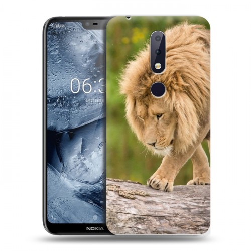 Дизайнерский пластиковый чехол для Nokia 6.1 Plus Львы