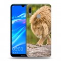 Дизайнерский пластиковый чехол для Huawei Y6 (2019) Львы