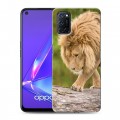 Дизайнерский пластиковый чехол для OPPO A52 Львы