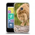 Дизайнерский пластиковый чехол для Nokia Lumia 530 Львы