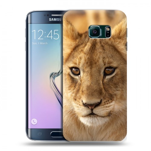 Дизайнерский пластиковый чехол для Samsung Galaxy S6 Edge Львы