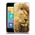 Дизайнерский пластиковый чехол для Nokia Lumia 530 Львы