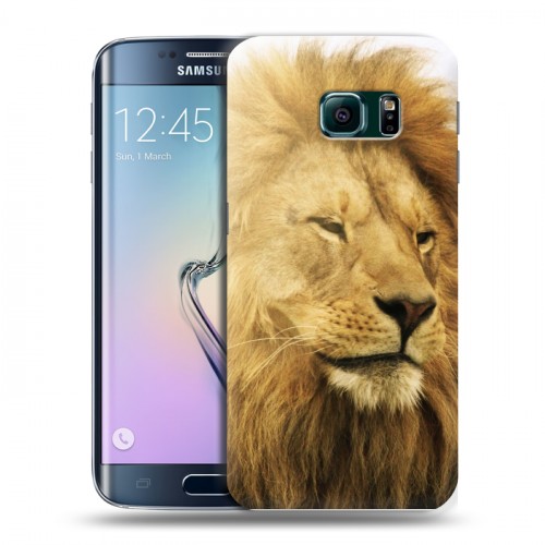 Дизайнерский пластиковый чехол для Samsung Galaxy S6 Edge Львы