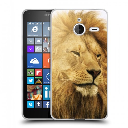 Дизайнерский пластиковый чехол для Microsoft Lumia 640 XL Львы