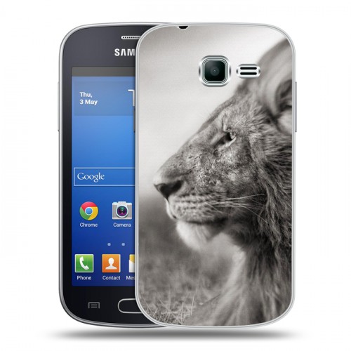 Дизайнерский пластиковый чехол для Samsung Galaxy Trend Lite Львы