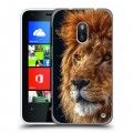 Дизайнерский пластиковый чехол для Nokia Lumia 620 Львы