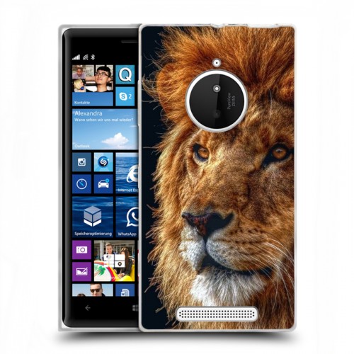 Дизайнерский пластиковый чехол для Nokia Lumia 830 Львы