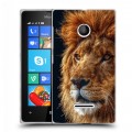 Дизайнерский пластиковый чехол для Microsoft Lumia 435 Львы