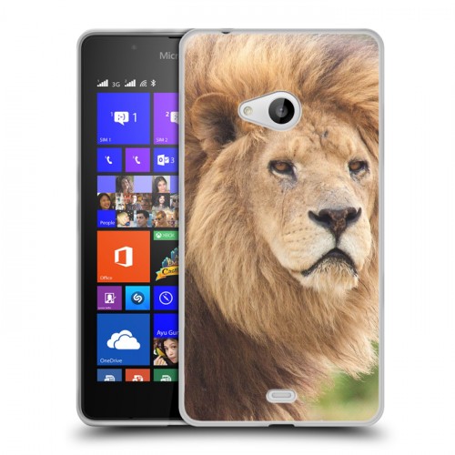 Дизайнерский пластиковый чехол для Microsoft Lumia 540 Львы