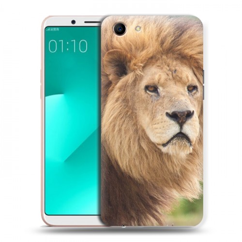 Дизайнерский пластиковый чехол для OPPO A83 Львы