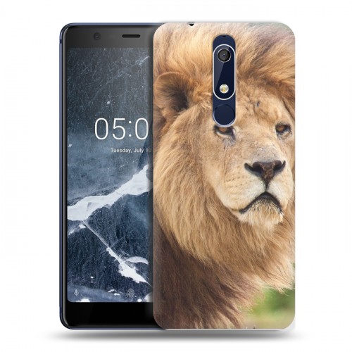 Дизайнерский пластиковый чехол для Nokia 5.1 Львы