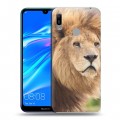 Дизайнерский пластиковый чехол для Huawei Y6 (2019) Львы