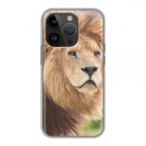 Дизайнерский силиконовый чехол для Iphone 14 Pro Львы