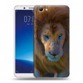 Дизайнерский силиконовый чехол для Vivo Y71 Львы