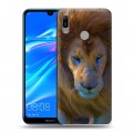 Дизайнерский пластиковый чехол для Huawei Y6 (2019) Львы