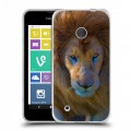 Дизайнерский пластиковый чехол для Nokia Lumia 530 Львы