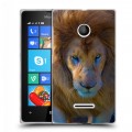 Дизайнерский пластиковый чехол для Microsoft Lumia 435 Львы