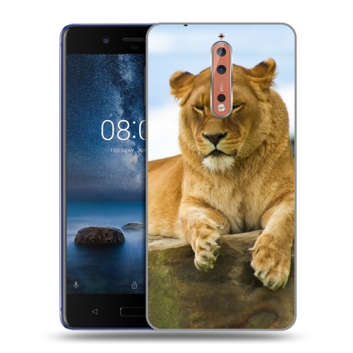 Дизайнерский пластиковый чехол для Nokia 8 Львы