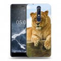 Дизайнерский пластиковый чехол для Nokia 5.1 Львы