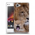 Дизайнерский пластиковый чехол для Sony Xperia L Львы