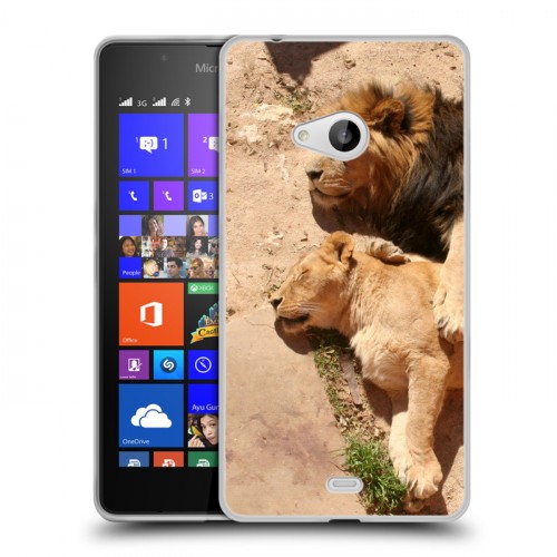 Дизайнерский пластиковый чехол для Microsoft Lumia 540 Львы