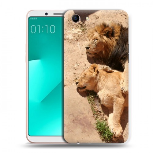 Дизайнерский пластиковый чехол для OPPO A83 Львы