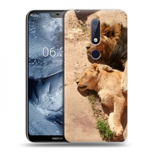 Дизайнерский пластиковый чехол для Nokia 6.1 Plus Львы