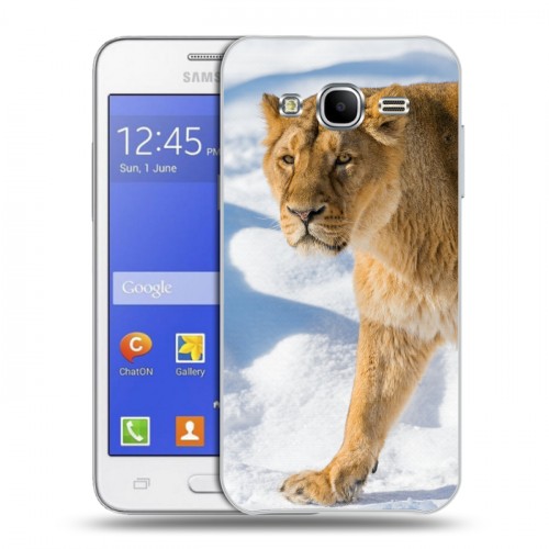 Дизайнерский пластиковый чехол для Samsung Galaxy J7 Львы