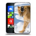 Дизайнерский пластиковый чехол для Nokia Lumia 620 Львы