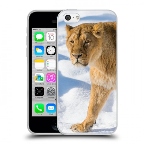 Дизайнерский пластиковый чехол для Iphone 5c Львы