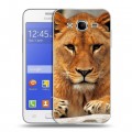 Дизайнерский силиконовый чехол для Samsung Galaxy J7 Львы