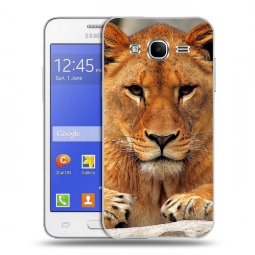 Дизайнерский силиконовый чехол для Samsung Galaxy J7 Львы