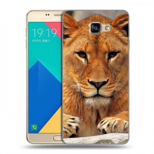 Дизайнерский силиконовый чехол для Samsung Galaxy A9 Львы